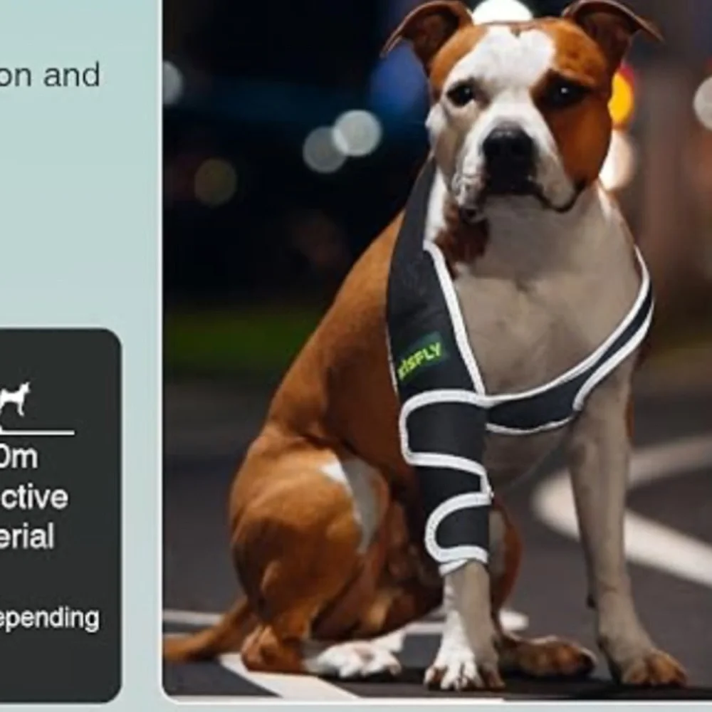 Dog Elbow Support Right Leg Brace